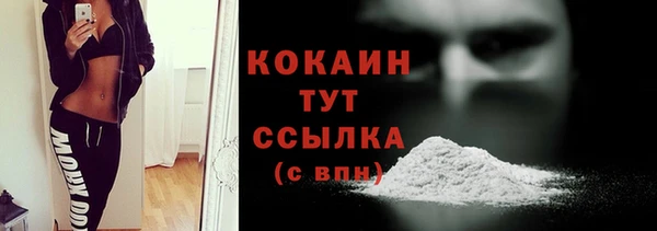 молекула духа Богородск
