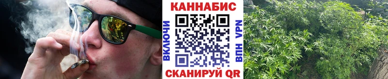 Марихуана план  закладки  Балтийск 
